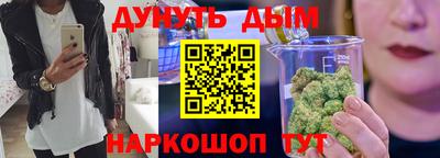 стаф Гай