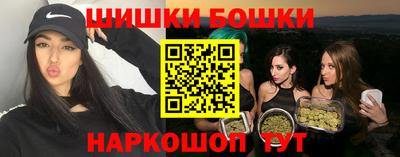 стаф Гай