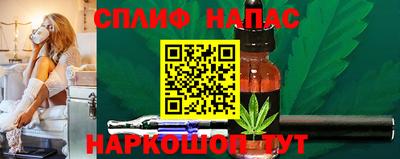 стаф Гай