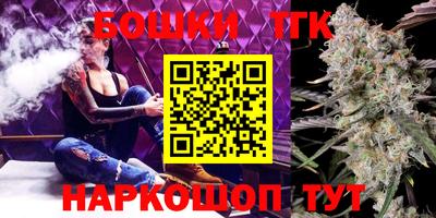 стаф Гай