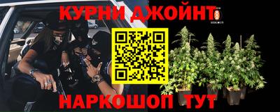 герыч Гатчина