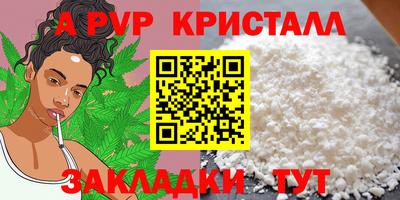 стаф Гай