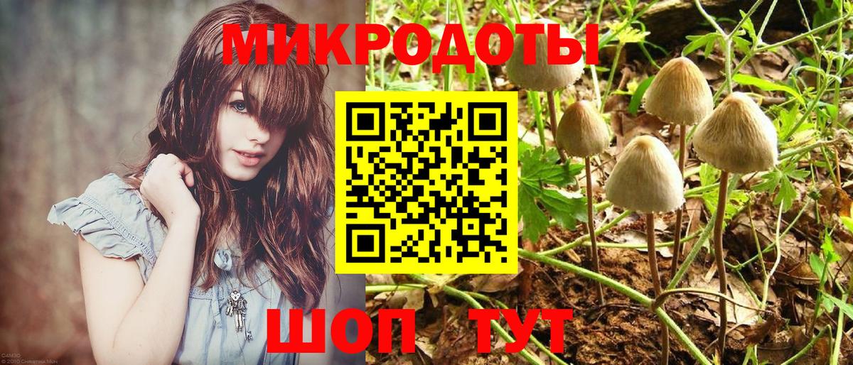 Галлюциногенные грибы Psilocybine cubensis  Вход с VPN  даркнет сайт  Волжский 